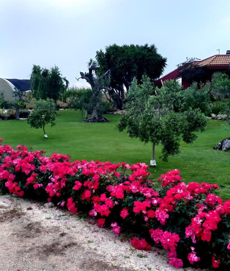 Casa Delle Rose Villa Sannicola Dış mekan fotoğraf